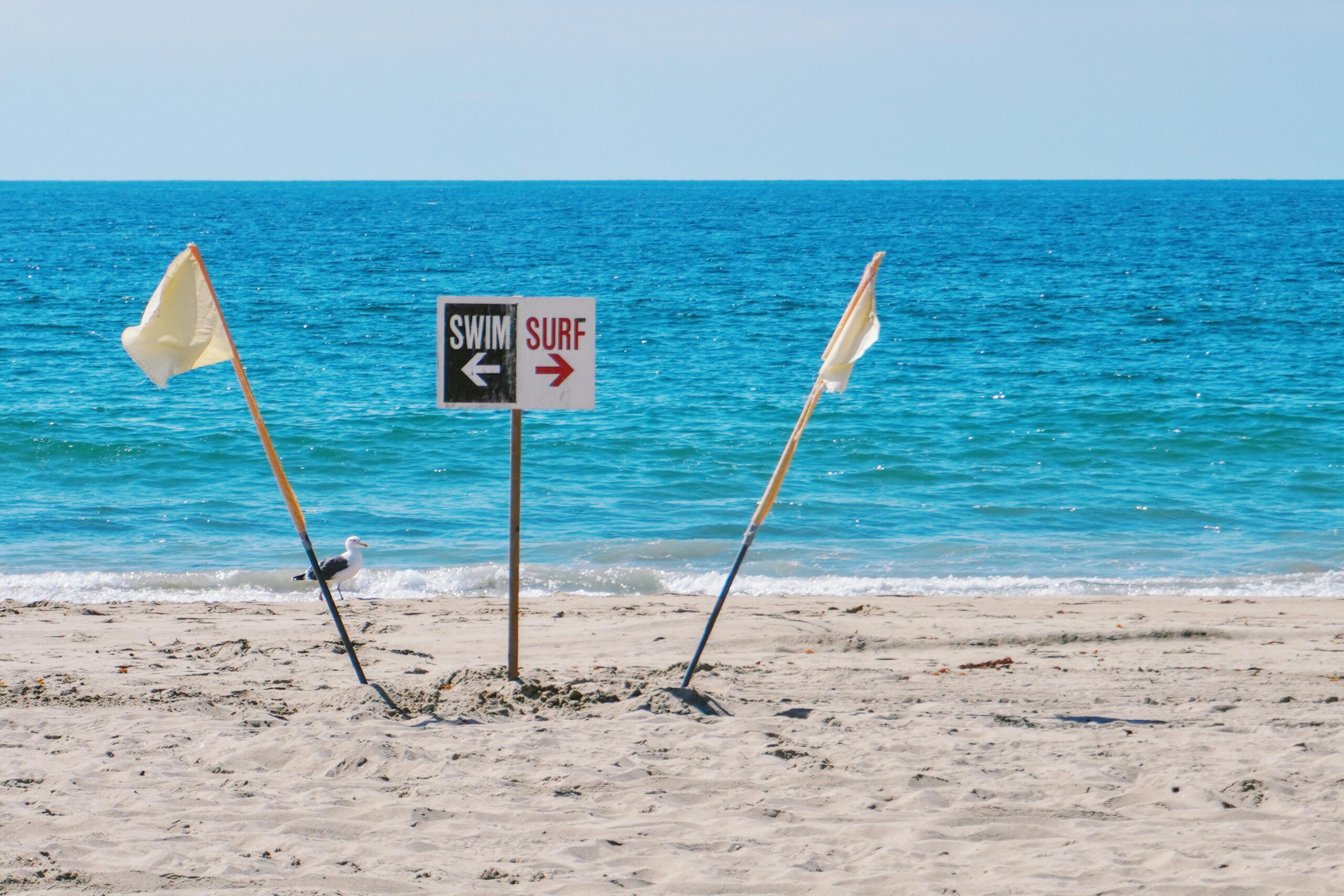 Beach scene at Manhattan Beach with swim and surf directional sign and seagull.